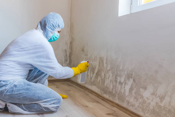 Black mold inspection in Coinjock